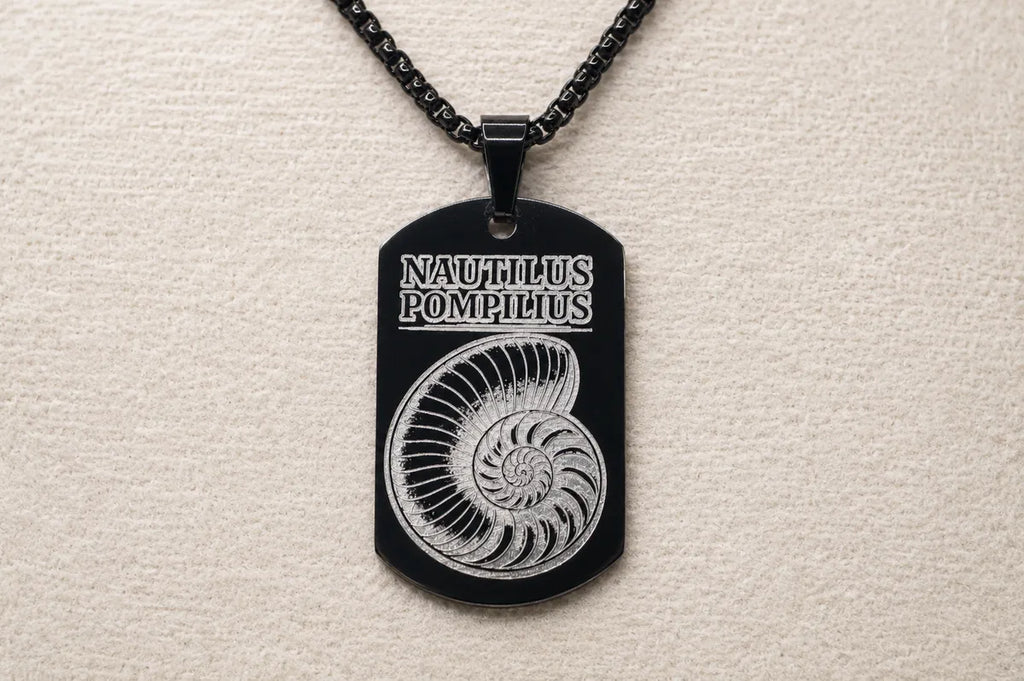 Nautilus Golden Ratio Necklace - Math & Science Jewelry Beautiful Gift for Scientist