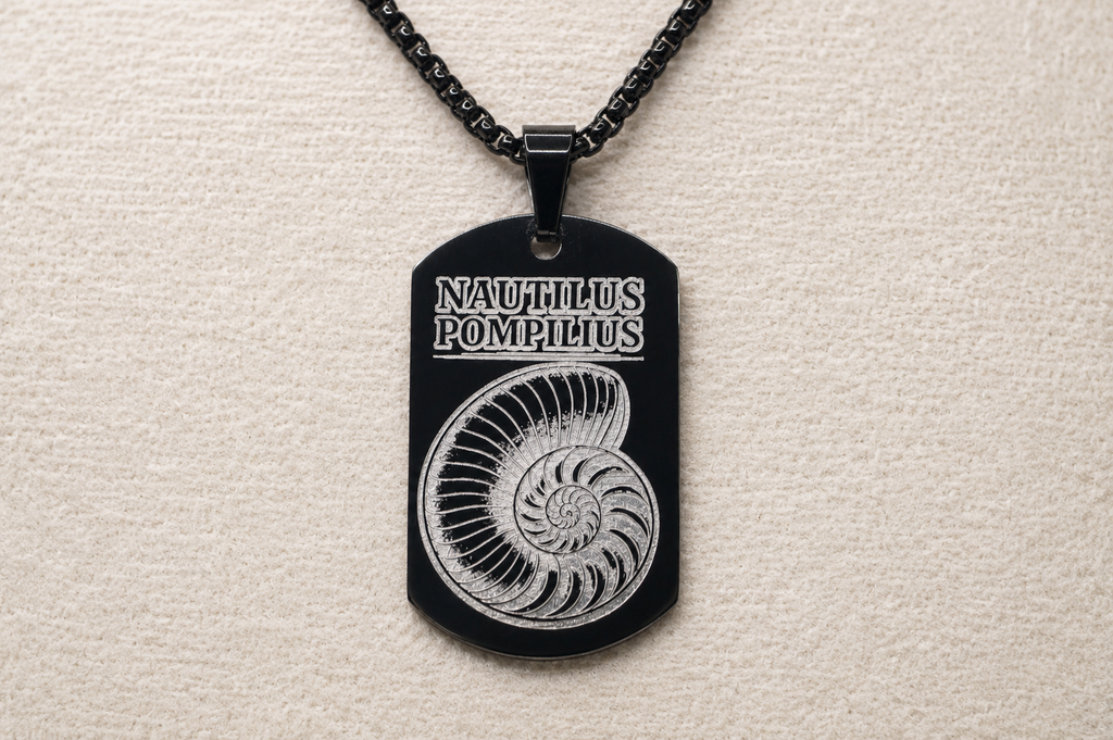 Nautilus Golden Ratio Necklace - Math & Science Jewelry Beautiful Gift for Scientist