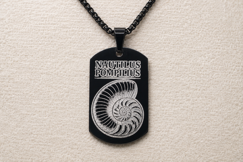 Nautilus Golden Ratio Necklace - Math & Science Jewelry Beautiful Gift for Scientist